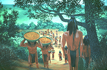 What types of food did the Caddo Indians eat?